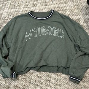 American Eagle Crop Crewneck